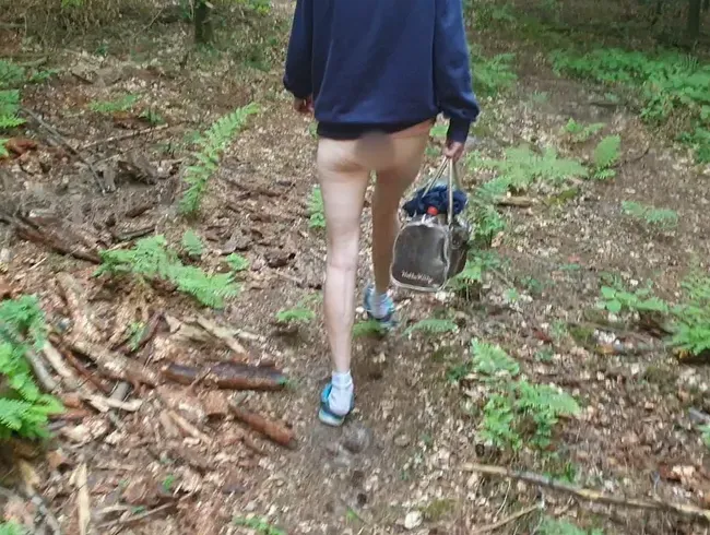 Waldspaziergang