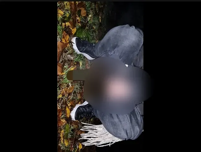 Behaarte Pissmuschi 2