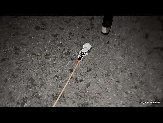 Publicpiss Rakete
