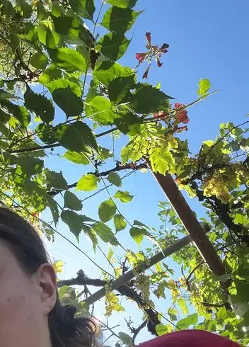 Kleines pipi Video im Garten mit abputzen