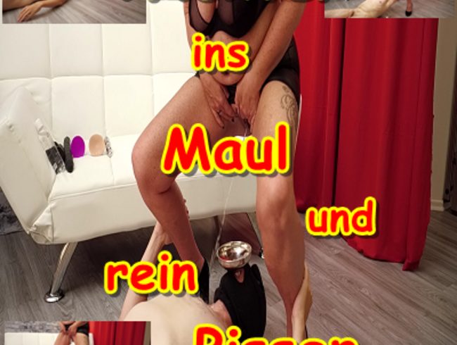 Trichter ins Maul und rein Pissen